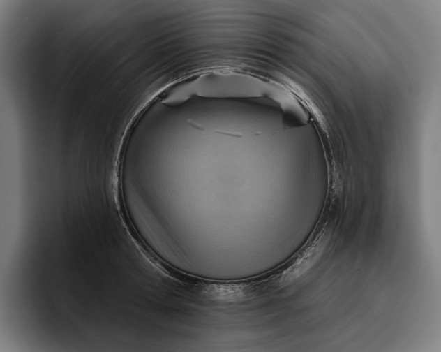 X0000096690802200802191427