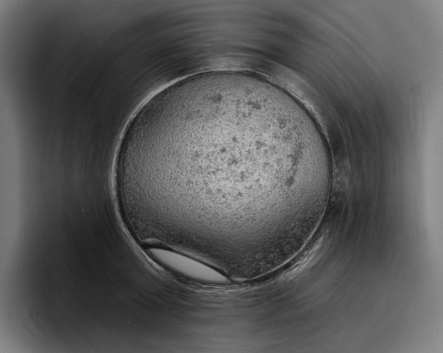 X0000096690803200802191427