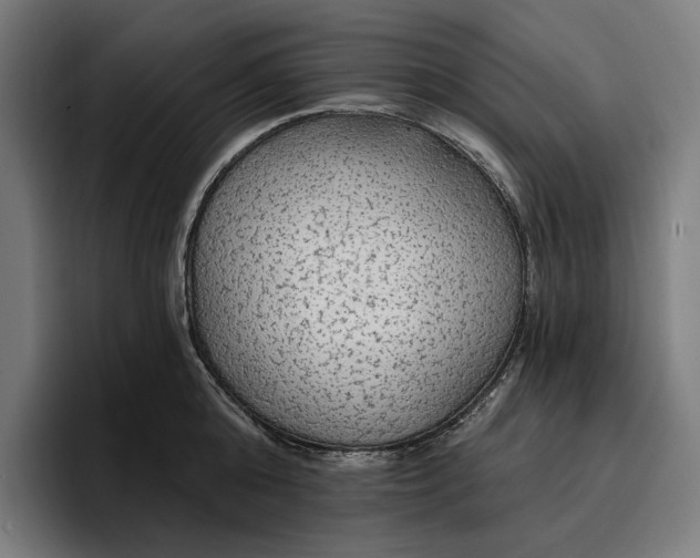 X0000096690808200802191427