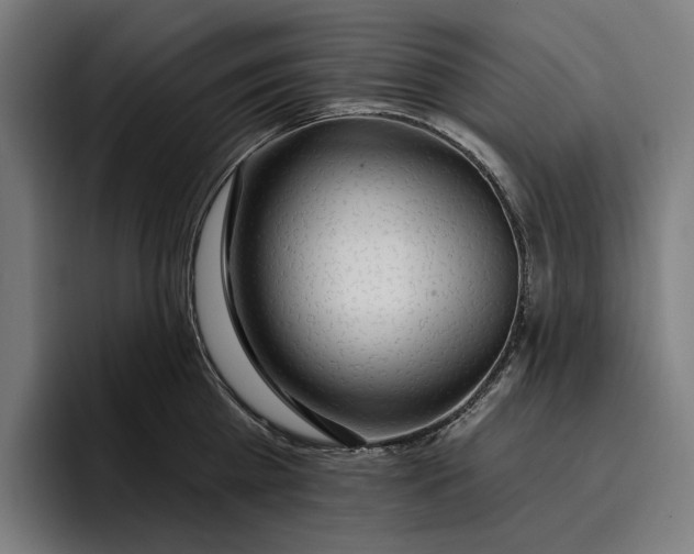 X0000096690809200802191427