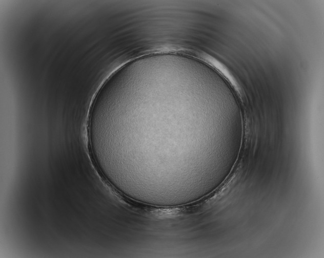 X0000096690810200802191427