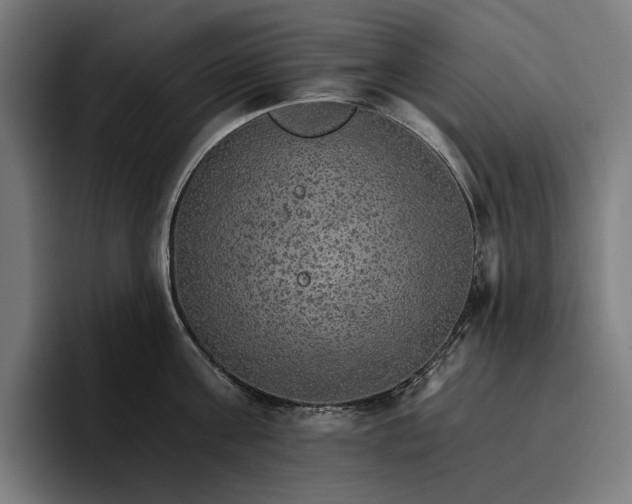 X0000096690811200802191427