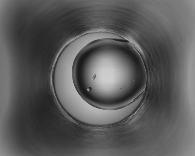 X0000096690813200802191427