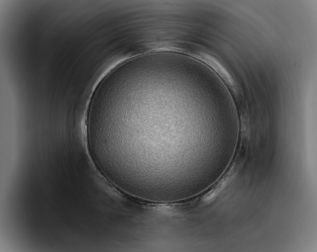 X0000096690814200802191427