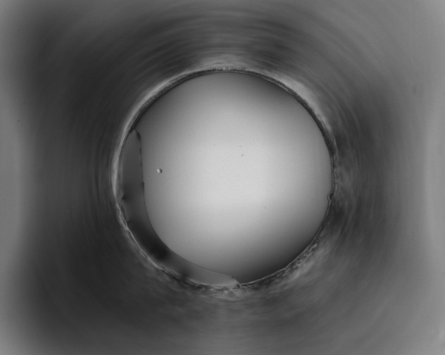 X0000096690815200802191427