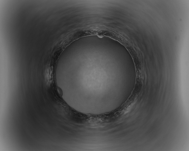 X0000096690818200802191426