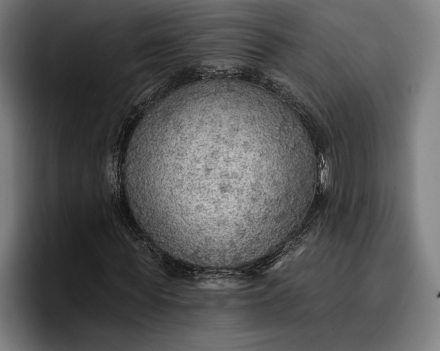 X0000096690819200802191426