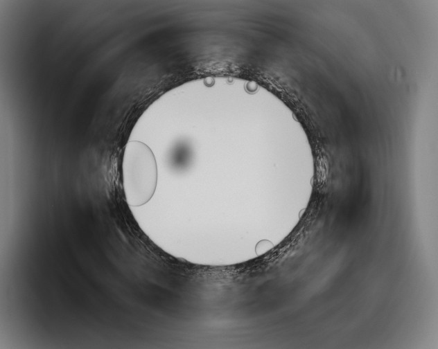 X0000096690820200802191426