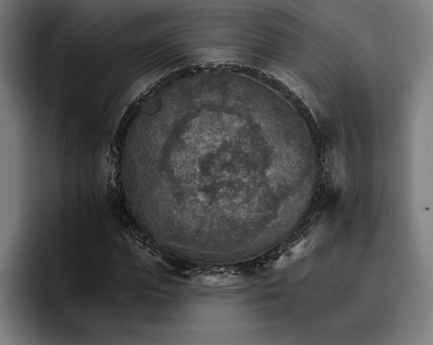 X0000096690823200802191426