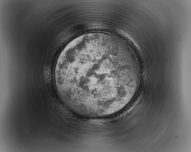 X0000096690825200802191426