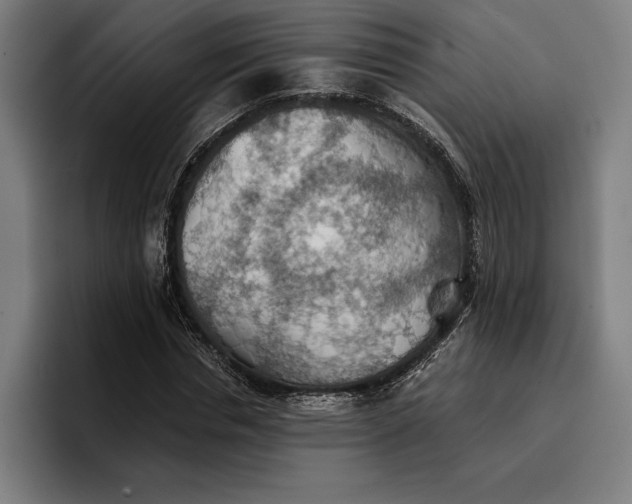 X0000096690826200802191426