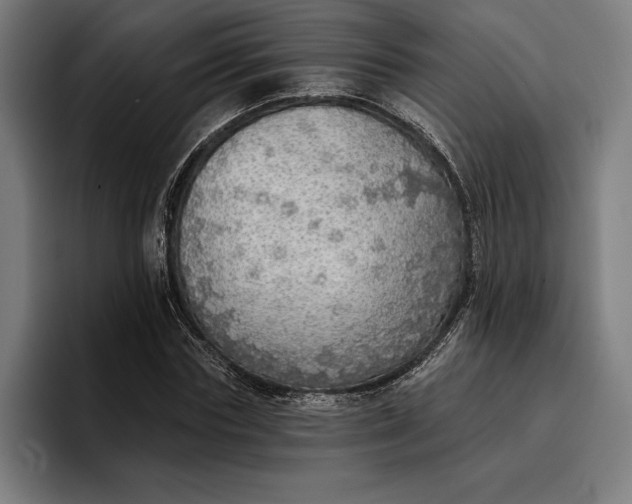 X0000096690827200802191426