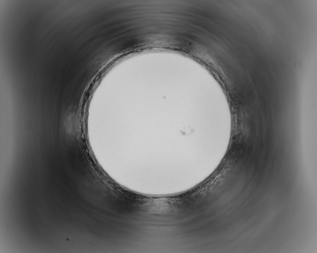 X0000096690828200802191426