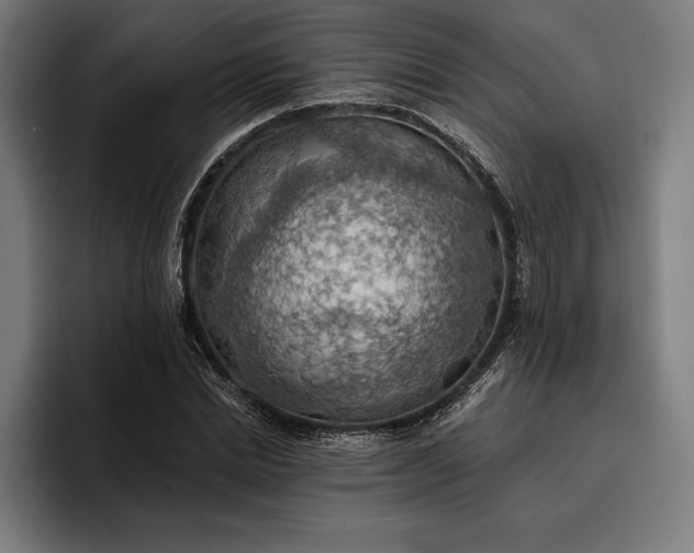 X0000096690830200802191426