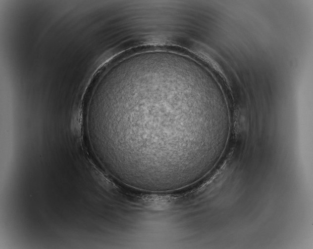 X0000096690831200802191426