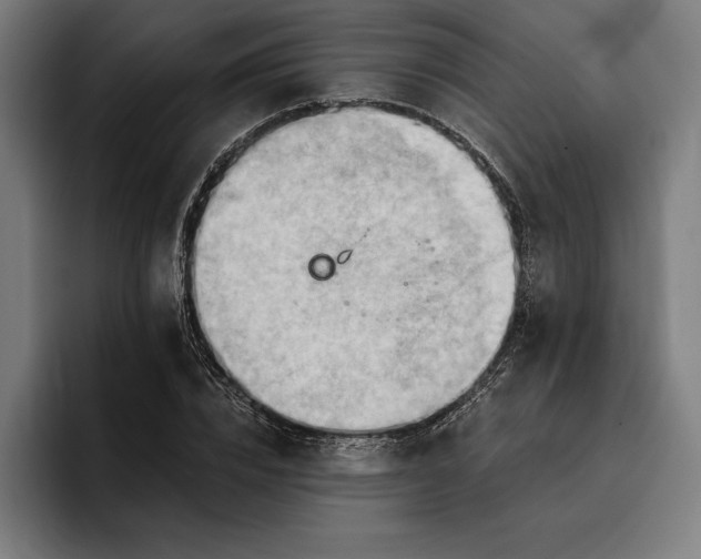 X0000096690832200802191426