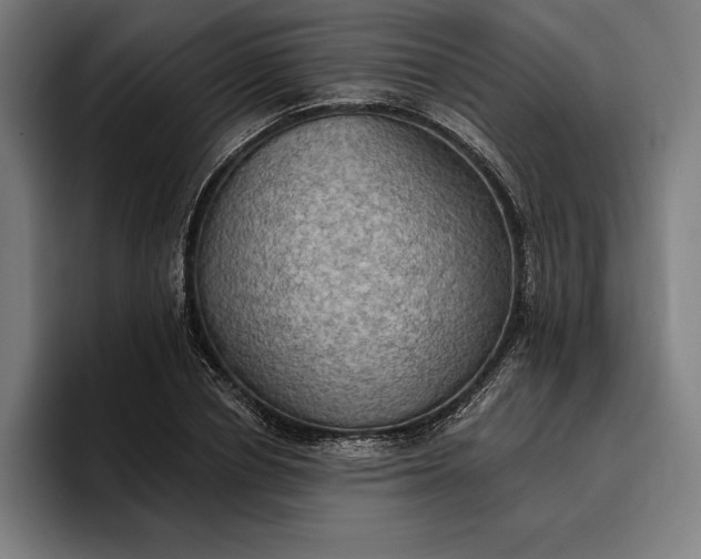 X0000096690834200802191426