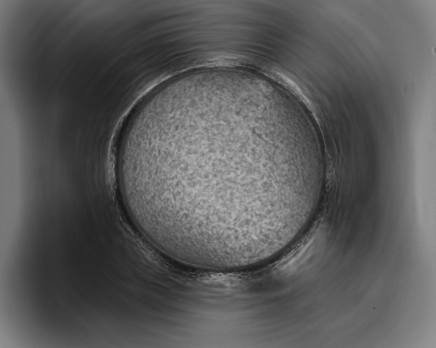 X0000096690835200802191426