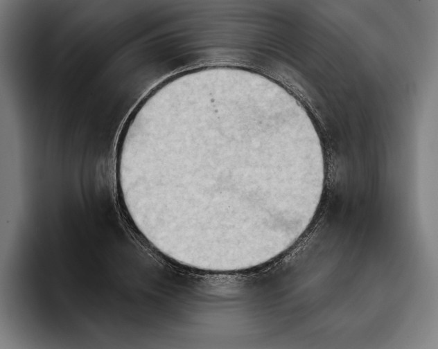 X0000096690836200802191426