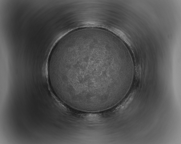 X0000096690839200802191426