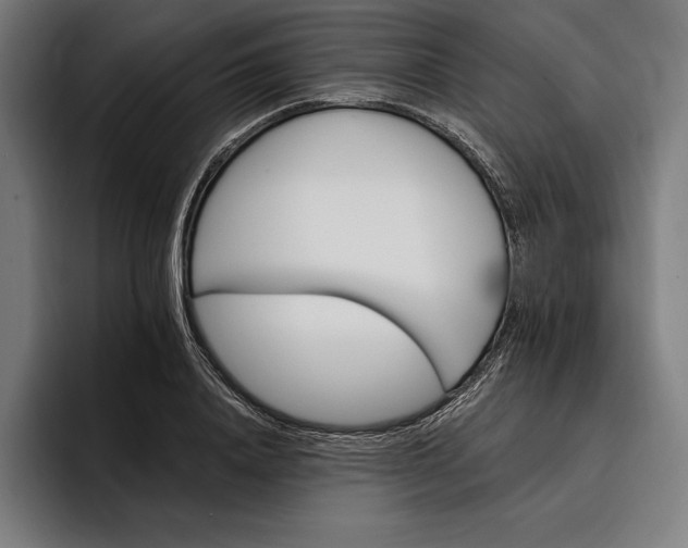 X0000096690840200802191426