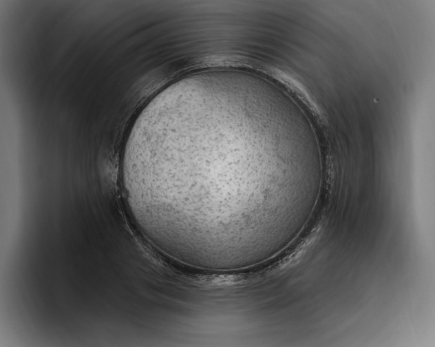 X0000096690841200802191426