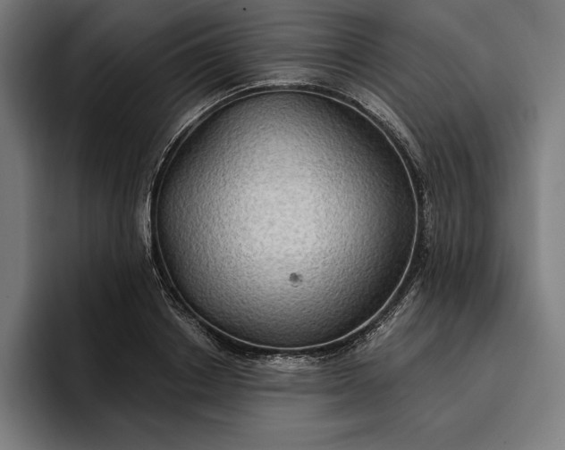 X0000096690842200802191426