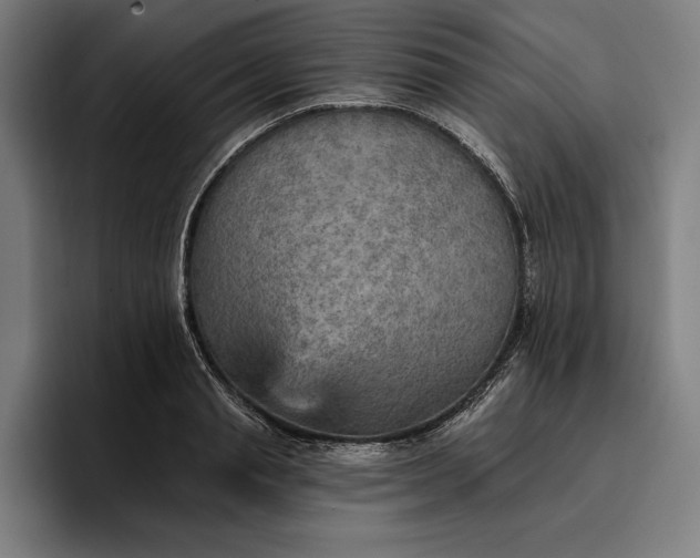 X0000096690845200802191426