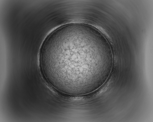 X0000096690846200802191426