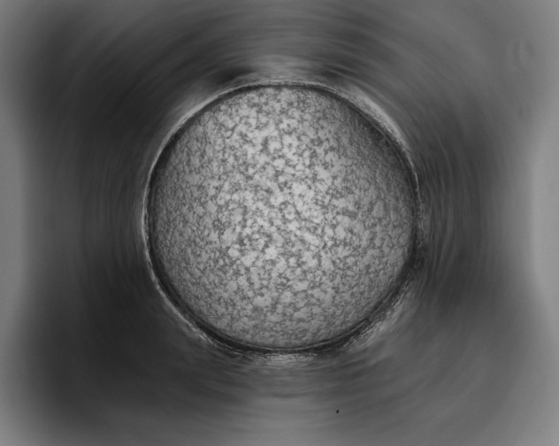 X0000096690847200802191426