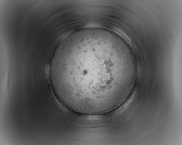 X0000096690849200802191427