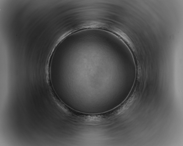 X0000096690850200802191427