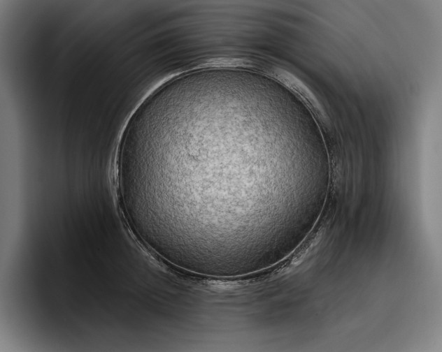 X0000096690852200802191427