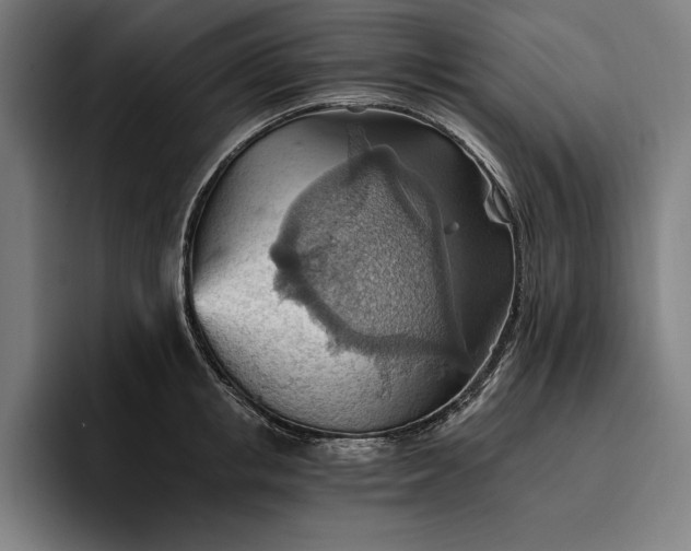 X0000096690853200802191427