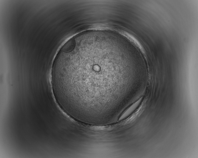 X0000096690855200802191427