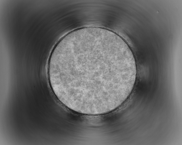 X0000096690856200802191427