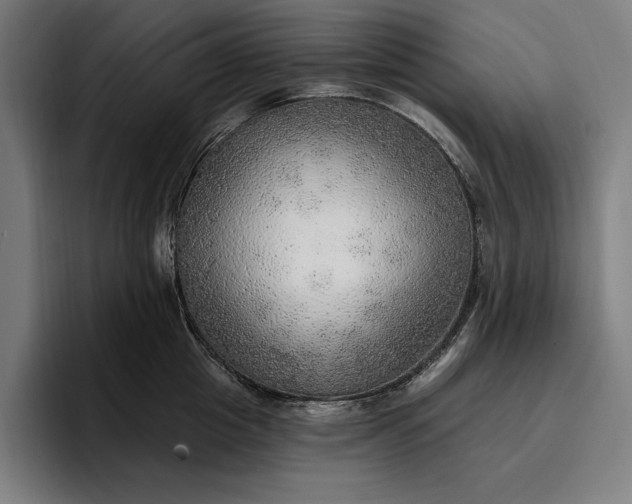 X0000096690857200802191427