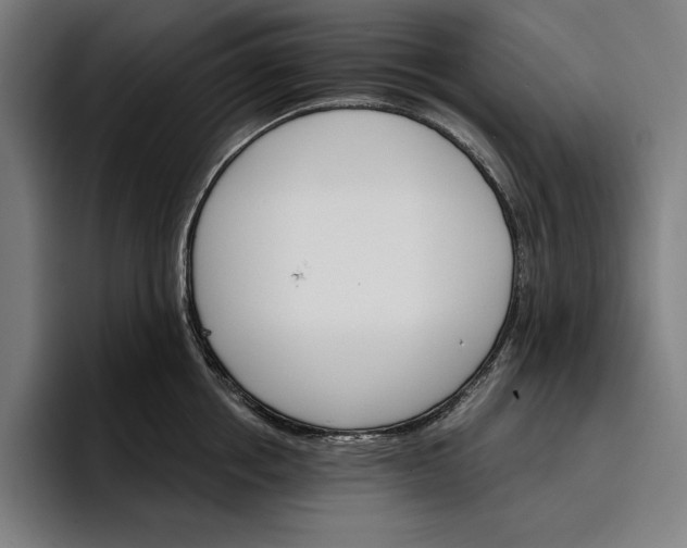 X0000096690858200802191427