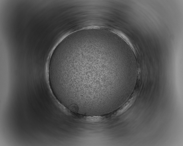 X0000096690859200802191427