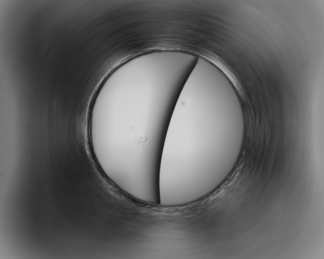 X0000096690861200802191427