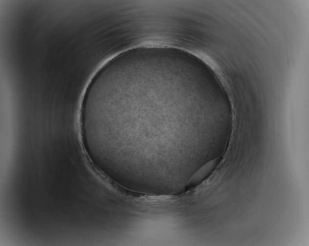 X0000096690864200802191427