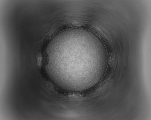 X0000096690866200802191426