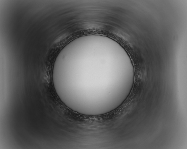 X0000096690869200802191426