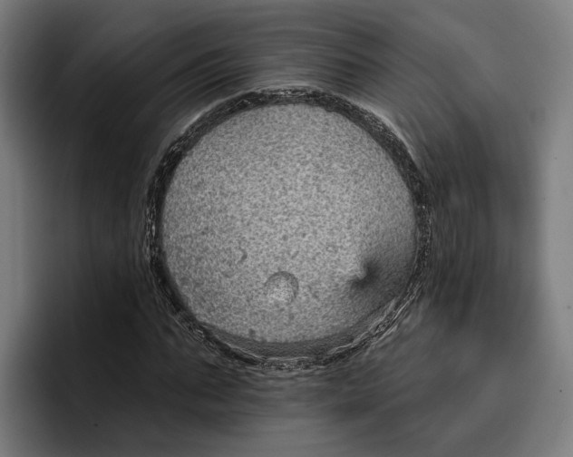 X0000096690871200802191426