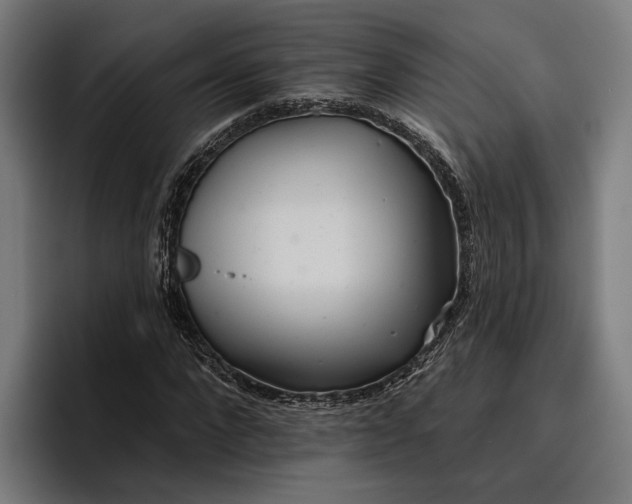 X0000096690872200802191426