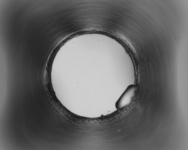 X0000096690876200802191426