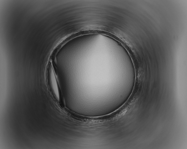 X0000096690877200802191426