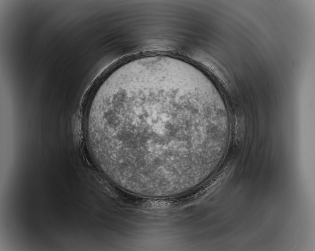 X0000096690878200802191426