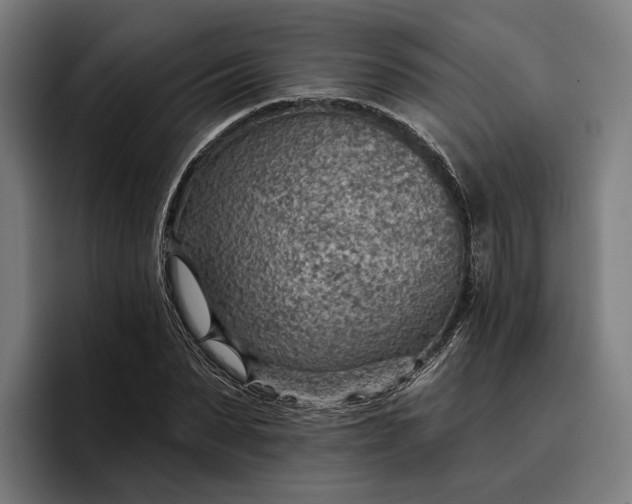 X0000096690879200802191426