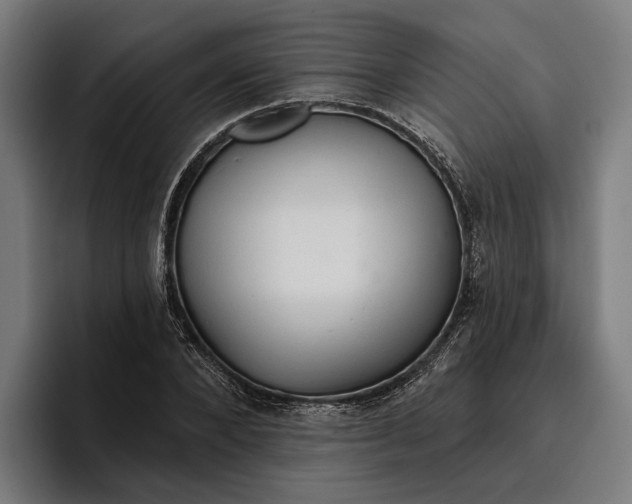 X0000096690880200802191426